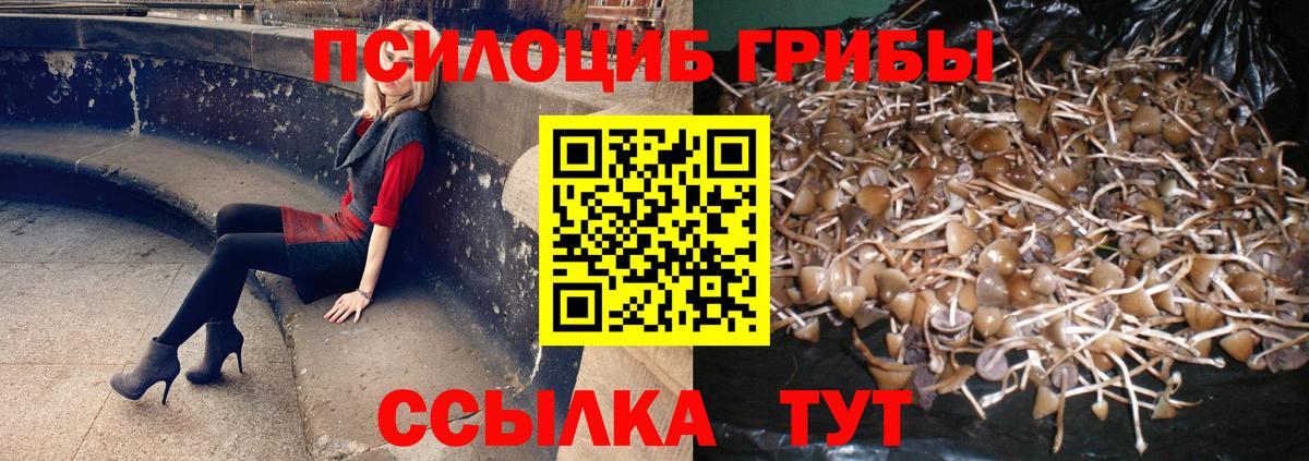 Галлюциногенные грибы мицелий  как найти закладки  Вход с VPN  Усинск  Галлюциногенные грибы Cubensis 